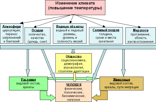 Влияние погоды на здоровье