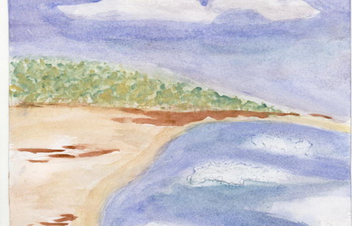 г. Москва  11 лет