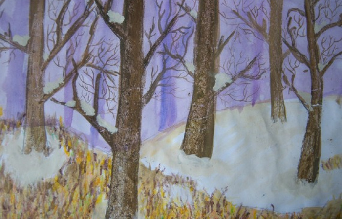 Англия  12 лет